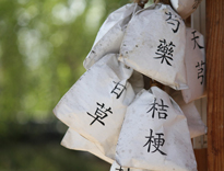 中藥包